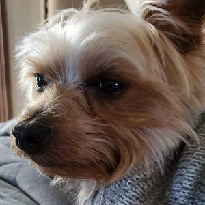 Meet your Posher, Sally